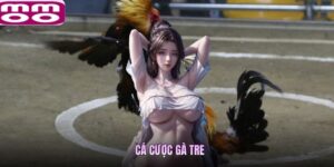 Cá Cược Gà Tre - Tìm Hiểu Sơ Lược Về Dịch Vụ Nhà Cái MMOO