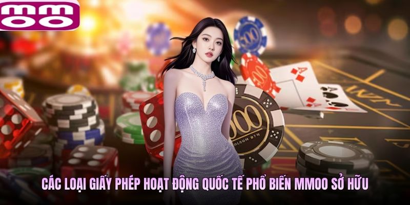 Các loại giấy phép hoạt động quốc tế phổ biến MMOO sở hữu