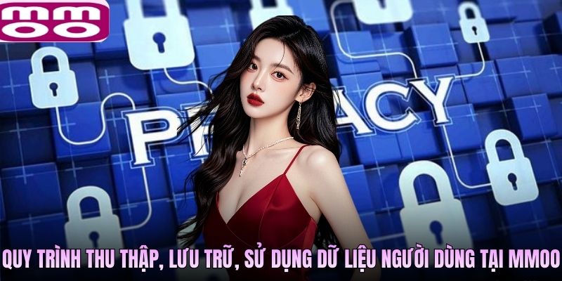 Quy trình thu thập, lưu trữ, sử dụng dữ liệu người dùng tại MMOO